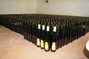 cantina 4